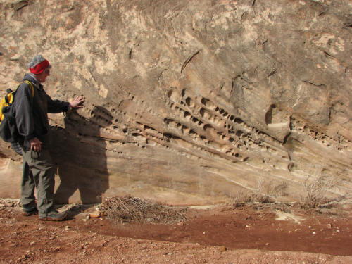 Honeycomb Weathering